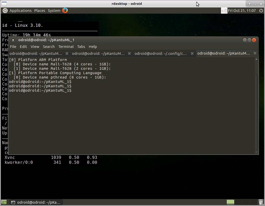 rdesktop-odroid_999